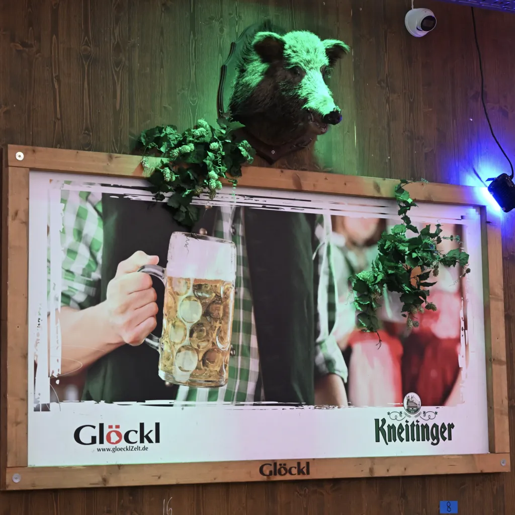 Wildschweinkopf-Trophäe über Werbeplakat mit Maßkrug im Glöckl Festzelt von Kneitinger