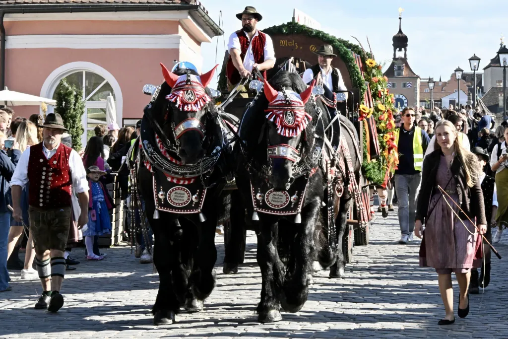 Festzug mit zwei schwarzen Brauereipferden in geschmücktem Geschirr auf der Steinernen Brücke in Regensburg