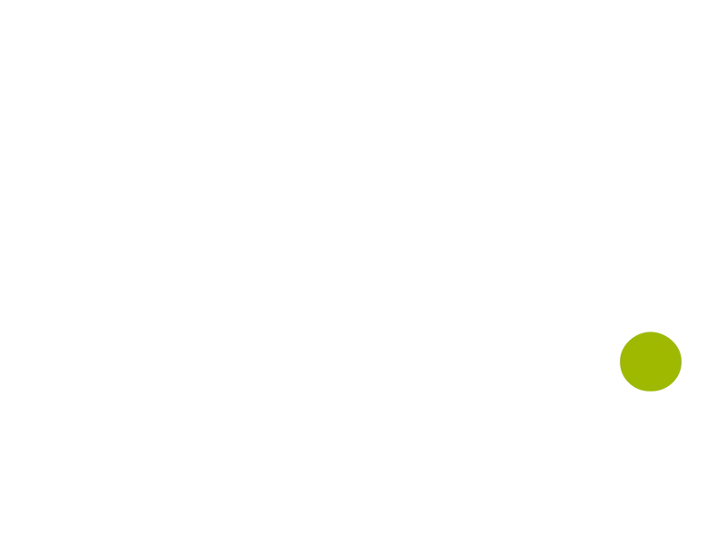 Logo der Regensburger Dult mit dem Schriftzug „REGENSBURGER DULT.“ und grünem Punkt